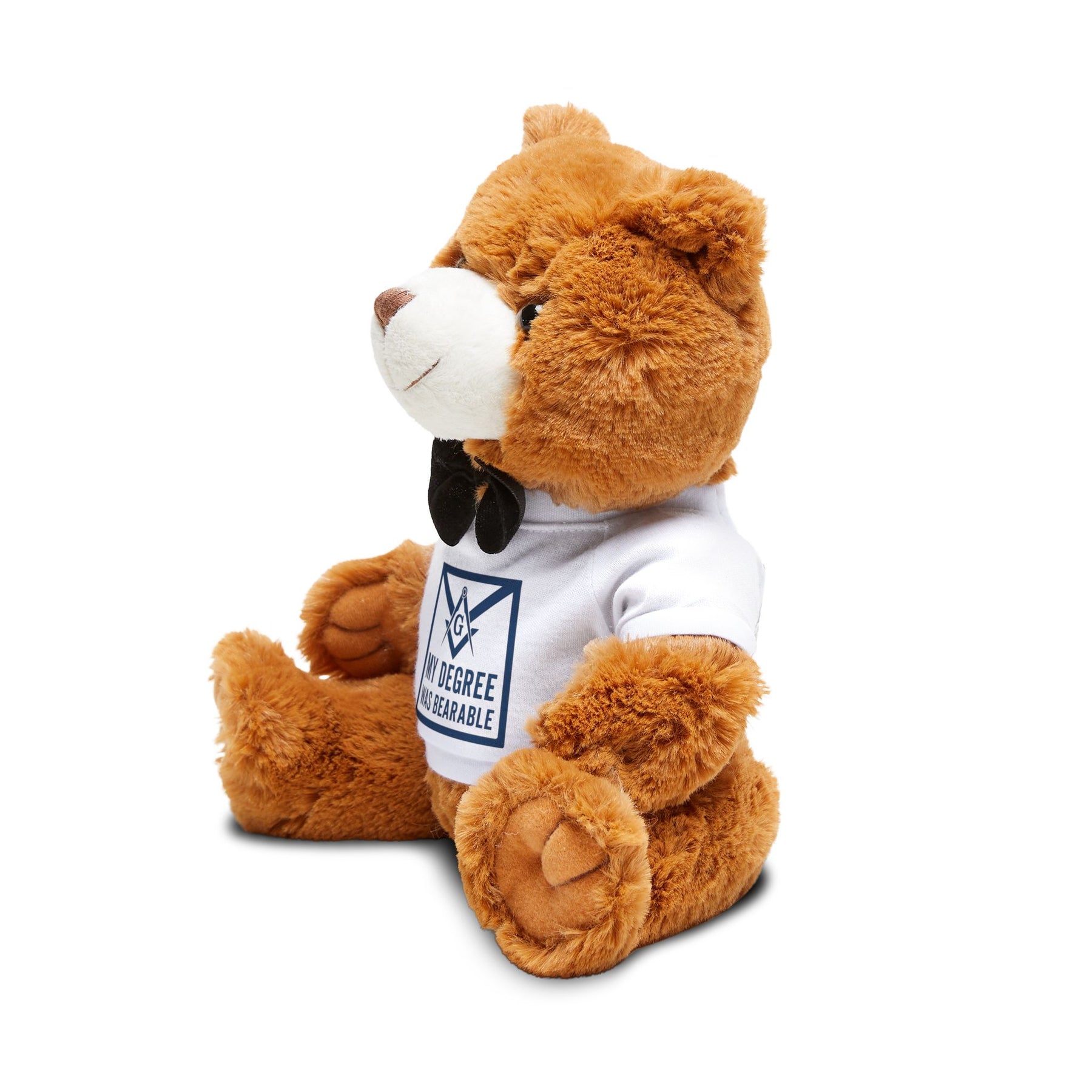 Master Mason Blue Lodge Teddy Bear - My Degree Was Bearable Plushie - Bricks Masons