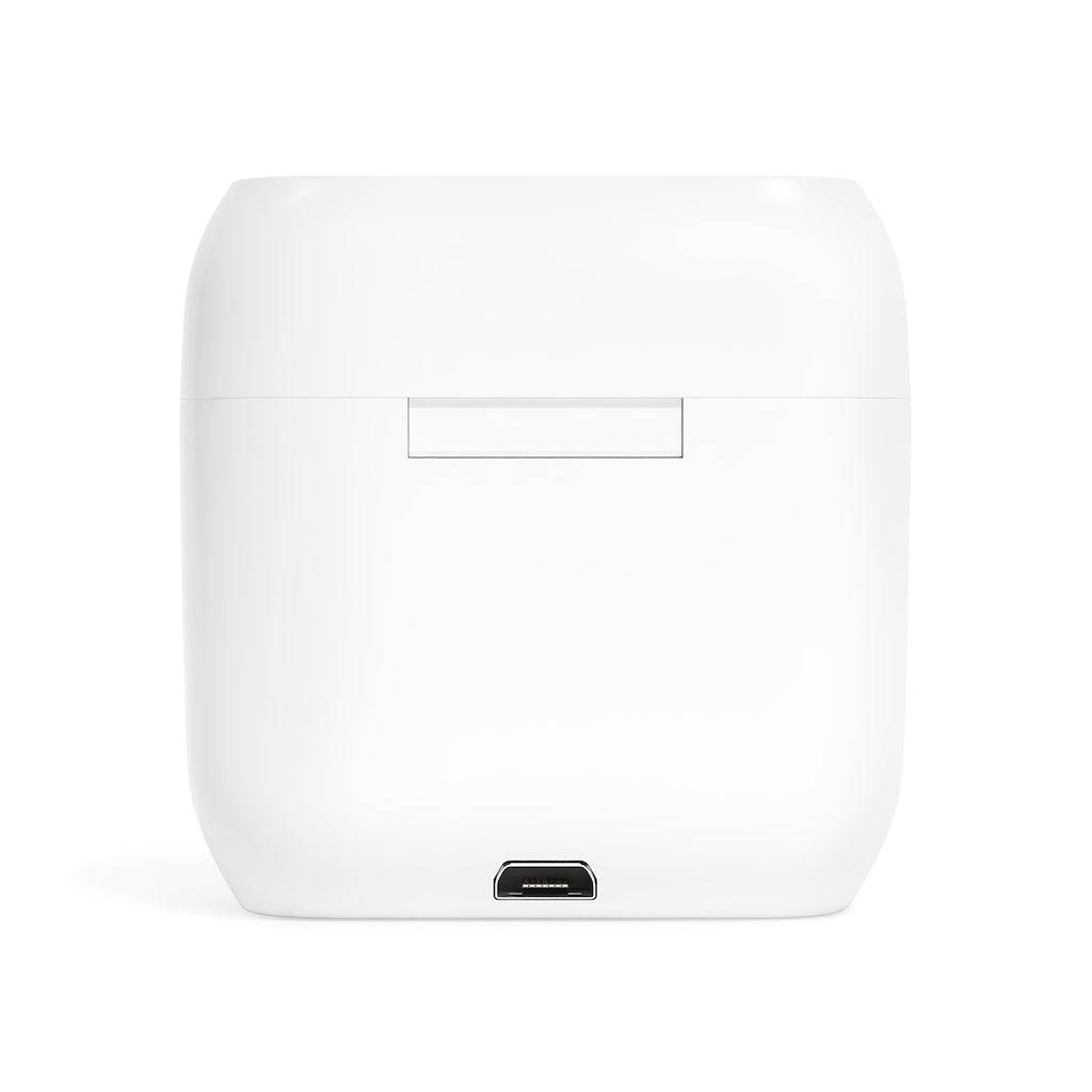 Past Master Blue Lodge Earbud - Black & White - Bricks Masons