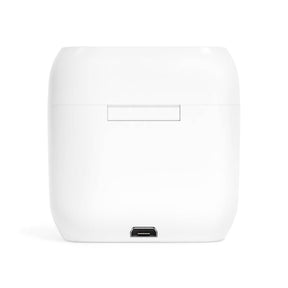 Royal Arch Chapter Earbud - White - Bricks Masons